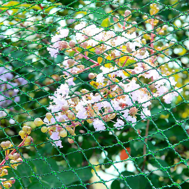 Anti-Bird Guard net Garðplöntunet